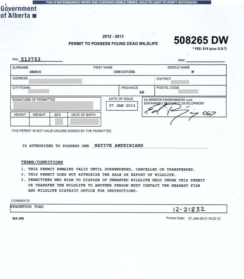 permit for edward