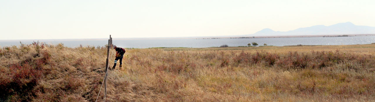 Pakowki Lake, Alberta